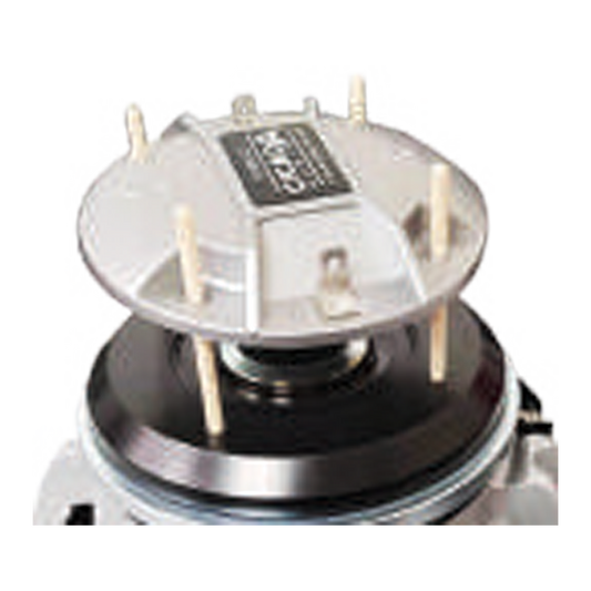 Cicada Audio – BnC Baggers